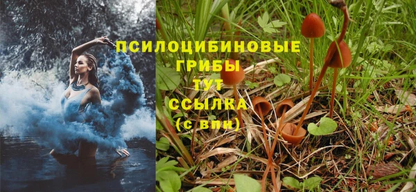 спайс Абинск