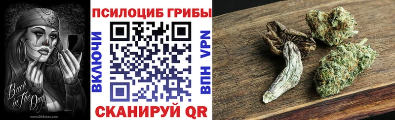 Галлюциногенные грибы Magic Shrooms  Абинск 